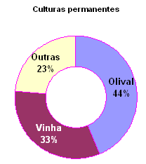 Culturas permanentes