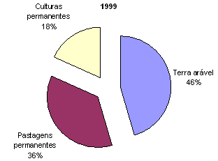 Ocupação das terras 1999