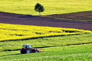 Agricultural income is expected to increase 0.6%