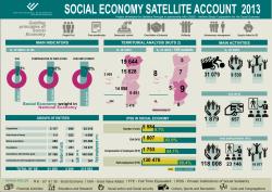 Social Economy Satellite Account 2013