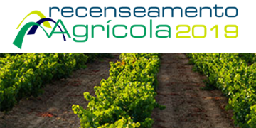 RA 2019 - New Web Site