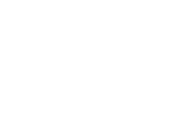 ANU RIO ESTAT STICO DE PORTUGAL O AEP 2023 marca a 115.ª edi o da s rie e procura corresponder  s necessidades de in...