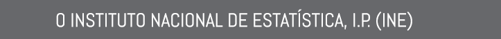 O INSTITUTO NACIONAL DE ESTAT STICA, I.P. (INE)