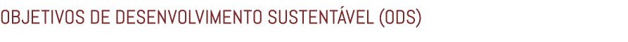 OBJETIVOS DE DESENVOLVIMENTO SUSTENT VEL (ODS)