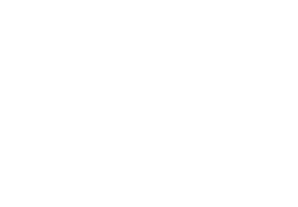 ANU RIO ESTAT STICO DE PORTUGAL O Instituto Nacional de Estat stica apresenta a 116.ª edi o do Anu rio Estat stico d...