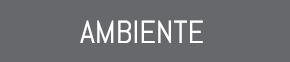 AMBIENTE