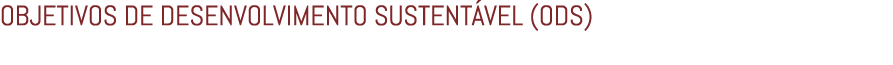 OBJETIVOS DE DESENVOLVIMENTO SUSTENT VEL (ODS)