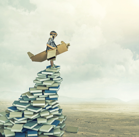 little aviator on 3d books