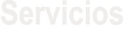 Servicios 