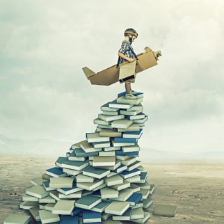 little aviator on 3d books