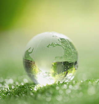 Close up of crystal globe resting on grass in a forest - environment concept 
