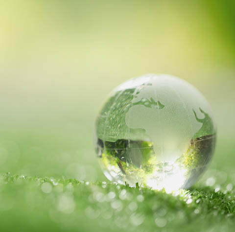 Close up of crystal globe resting on grass in a forest - environment concept 