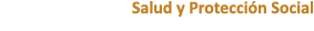 Salud y Protecci n Social 