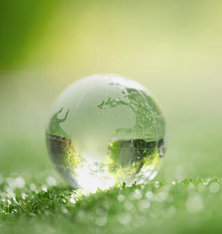 Close up of crystal globe resting on grass in a forest - environment concept 