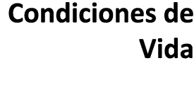 Condiciones de Vida