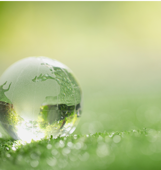 Close up of crystal globe resting on grass in a forest - environment concept 
