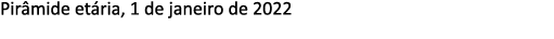 Pir mide et ria, 1 de janeiro de 2022