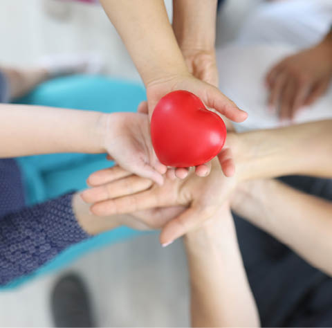 Red plastic heart close up. Many hand of women, men and children, one above one, hold heart.