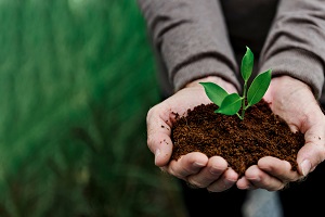 Agricultural Statistics - 2021