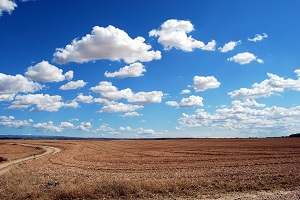 2021/22 crop year was the hottest and the third driest since 1931 - October 2022
