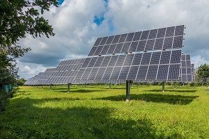 The state of the Environment - 2021