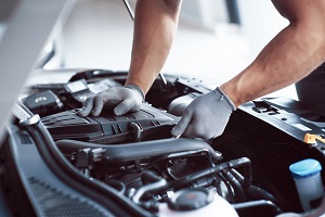 Services Turnover Index slowdown to 0.7% - August 2023