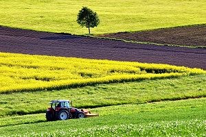 Rendimento da Atividade Agrícola deverá aumentar 0,6%