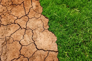 Potencial de Aquecimento Global diminuiu 2,9% em 2016, apesar do crescimento da atividade económica