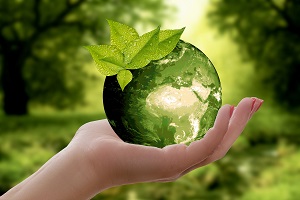 In 2016 the environmental goods and services sector generated 3.0% of the national GVA