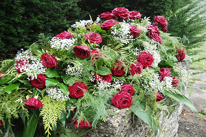 Causes of Death