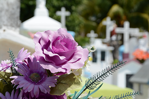 Mortality decreased 1.0% compared to the same month of 2025