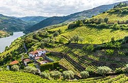 25 de outubro:  vai para o terreno a recolha de dados da 2ª operação estatística de maior dimensão em Portugal