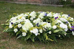 Deaths from diseases of the respiratory system increased by 3.8%