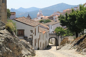Tourism trips of residents increased by 10.8% in 2019