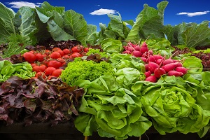 CPI annual rate of change estimated to be stable at 0.5%