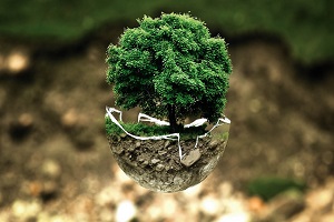Em 2019, o Potencial de Aquecimento Global continuou a diminuir num contexto de crescimento económico