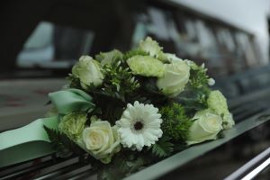 Mortality decreased 12.1% compared to the same month of 2022