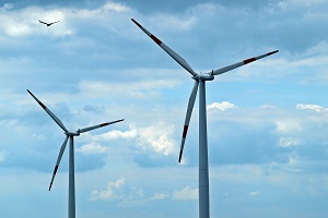 In 2019, the energy intensities of the economy and of the households' consumption continued to decrease in a context of economic growth