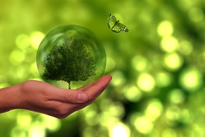 Estado do Ambiente 2020
