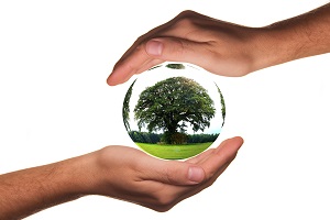 National Expenditure on Environmental Protection increased by 2.2%, despite the contraction of GDP (-6.5%)