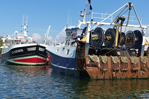 Estatísticas da Pesca