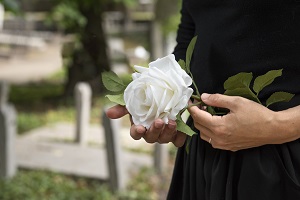 Mortality increased 5.0% in relation to the same month of 2024