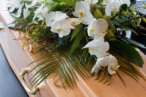 Mortalidade decresce 0,1% no primeiro semestre de 2025 comparativamente com o período homólogo de 2024