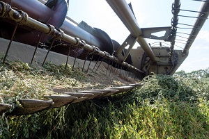 Estatísticas Agrícolas