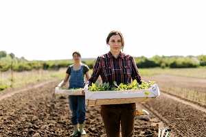 In real terms, the gross monthly earnings per employee increased by 3.7%