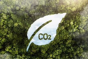 Third consecutive decouplement between growth and emissions puts carbon intensity at lowest value since 1995