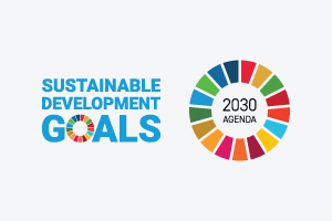 Sustainable Development Goals (SDGS) in Portugal 2015-2025