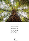 Imagem sobre Estatísticas do Ambiente - 2021