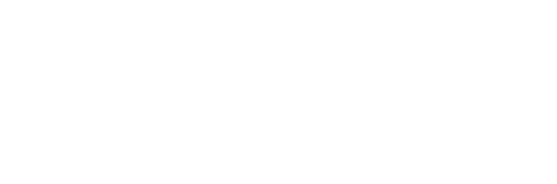 Logo INE 90 Anos