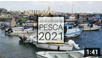 Estatísticas da Pesca 2021